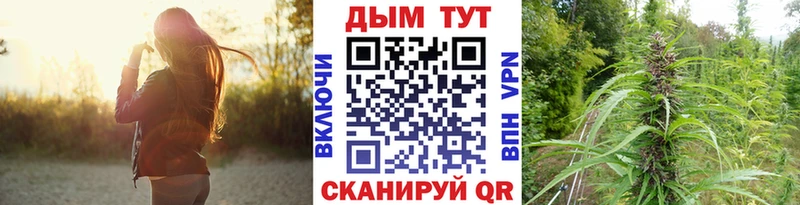 Каннабис SATIVA & INDICA  Купить где  Лысково 
